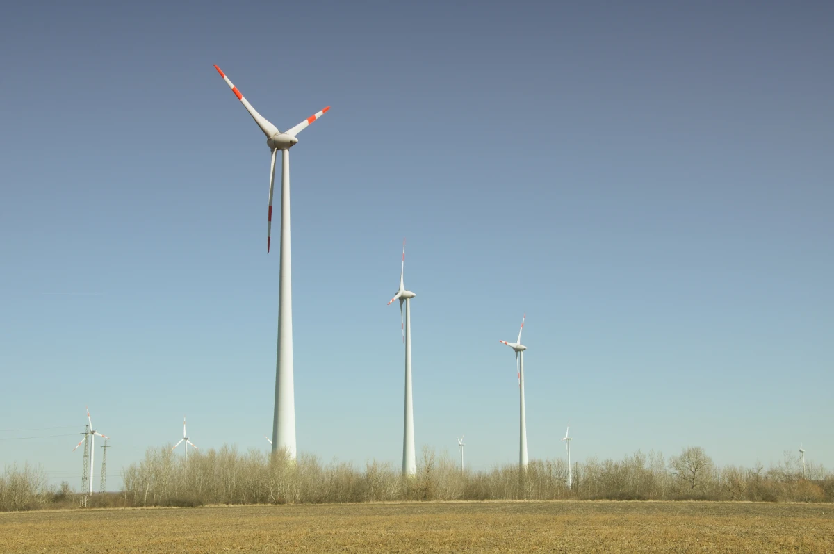 Les nouvelles législations sur les énergies renouvelables : une avancée vers un avenir durable